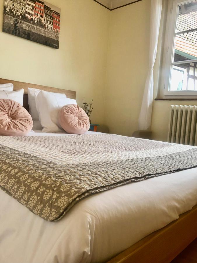 Appartement T3 Aux Deux Cigognes Gries Ngoại thất bức ảnh