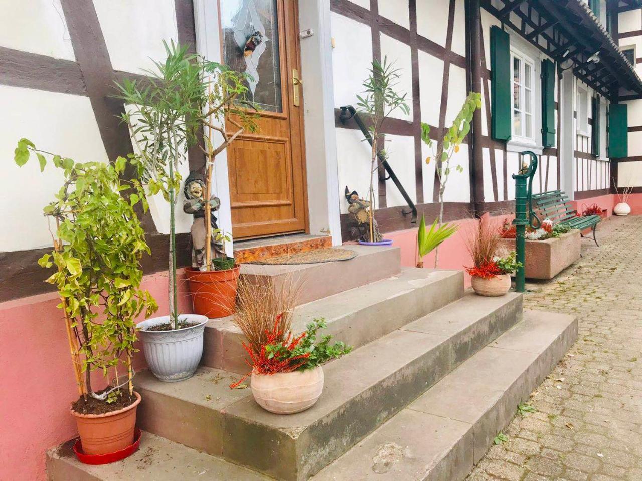 Appartement T3 Aux Deux Cigognes Gries Ngoại thất bức ảnh